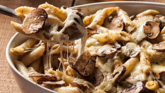 Pasta Al Pollo: Sauce poulet crème champignon : l’incontournable plat réconfort de Papé Pizza